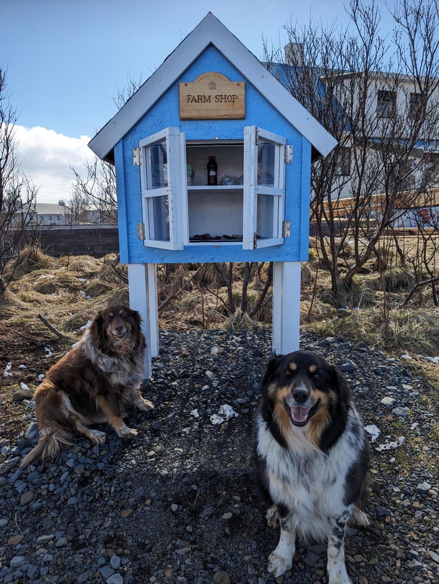 Vík Hostel Exterior foto